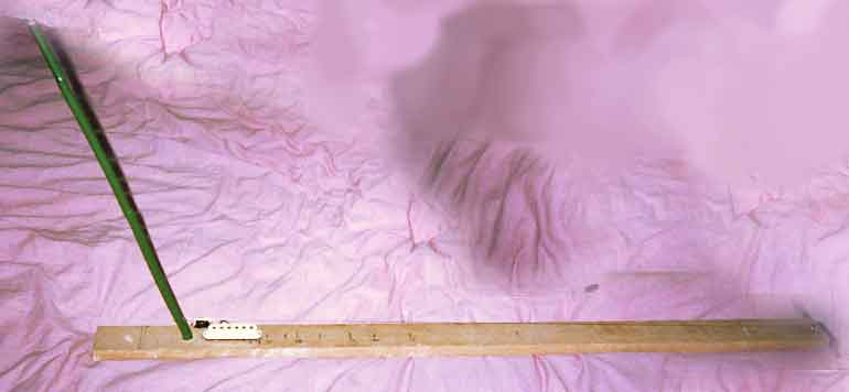 My beautiful dan bau, in suitably pornographic setting